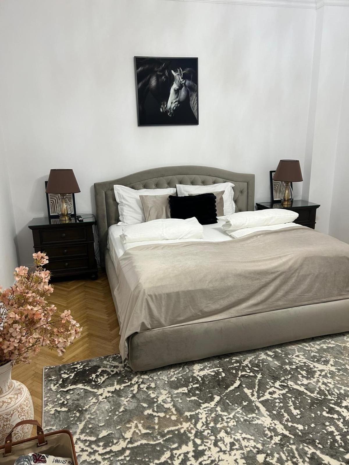 Rennes Apartment Сибиу Экстерьер фото